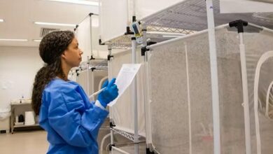 Aparecida adota a estratégia dos Wolbitos