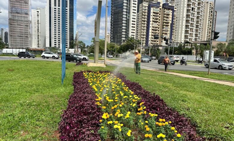 Comurg revitaliza Complexo Viário Jamel Cecílio com paisagismo sustentável