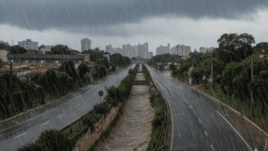 Temporal causa bloqueios viários na Região Central e setor Campinas