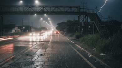 Rodovias de vitrine versus realidade: o contraste na Infraestrutura goiana