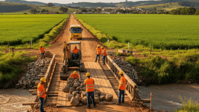 Governo autoriza convênios para manutenção de pontes e estradas