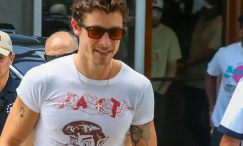 Médica detalha protocolo de saúde de Shawn Mendes em São Paulo