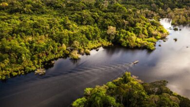 Ibama monitora vazamento de fluido em perfuração na foz do Amazonas
