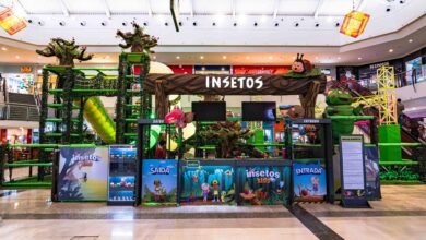 Espaço lúdico inspirado em insetos é opção de lazer em Aparecida