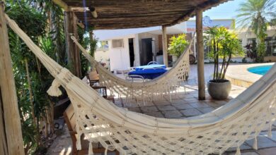 Saúde mental torna-se pilar estratégico em empresas de Goiânia