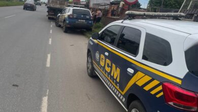 Um cão morre e dois ficam feridos após ataque no Jardim Itapoã