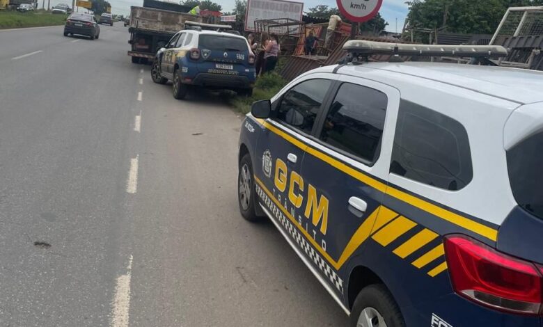 Um cão morre e dois ficam feridos após ataque no Jardim Itapoã