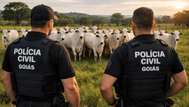 Polícia Civil desarticula esquema de furto de gado no nordeste goiano