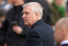 Vídeos de especialistas realizando leitura labial de membros da realeza britânica e famosos têm circulado nas redes sociais, especialmente no TikTok, e estão preocupando os envolvidos.nEm uma reportagem, o The Guardian contou que representantes e assessores da realeza estão alertando para conversas em público.nUma das leituras foi realizada com o príncipe William e Andrew Mountbatten-Windsor foi traduzido por uma especialista em leitura labial que trabalhava em um documentário do canal Channel 5, chamado "Lip-Reading the Royals", ou "Leitura Labial da Realeza".nnO vídeo supostamente mostra que Mountbatten-Windsor tentou se desculpar com seu sobrinho, que, na cena, o ignora.n“Aprendi com o que fiz, mas antes que eu me esqueça, e se puder, gostaria de lhe perguntar se você pode me perdoar?”, diz o trecho da leitura.nUma fonte ligada à realeza afirmou à reportagem que, "assim como acontece com muitas figuras públicas, os membros da família real estão cientes da infeliz e crescente tendência de usar leitores labiais, com diferentes graus de imprecisão, para espionar conversas que qualquer pessoa teria o direito de considerar privadas”.nhttps://stories.cnnbrasil.com.br/entretenimento/meghan-markle-volta-a-atuar-apos-quase-10-anos-com-ponta-em-filme/