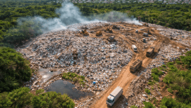 MPGO denuncia empresa por crime ambiental em lixão de Planaltina