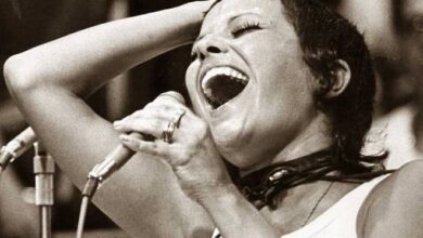 Goiânia recebe show gratuito em homenagem a Elis Regina