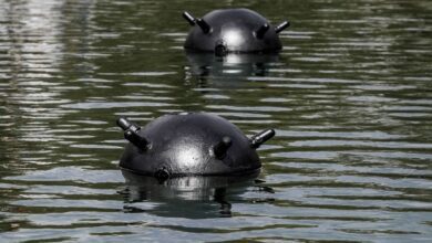 Não há evidências claras de que o Irã tenha colocado minas no Estreito de Ormuz, afirmou o secretário de Defesa dos Estados Unidos, Pete Hegseth, em uma coletiva de imprensa nesta sexta-feira (13).nA avaliação de Hegseth contrasta com reportagens do início da semana que sugeriam que o Irã havia implantado cerca de uma dúzia de minas no Estreito de Ormuz, a principal via de escoamento de um quinto do petróleo mundial.nQuestionado sobre a possibilidade de minas no Estreito, Hegseth disse: "Ouvimos eles falarem sobre isso, assim como vocês noticiaram de forma irresponsável e precipitada. Mas... não temos nenhuma evidência clara disso."nOs comentários de Hegseth vêm em um momento em que os Estados Unidos e outros países enfrentam a disparada dos preços do petróleo e do gás, com a guerra entre EUA-Israel contra o Irã entrando em seu 14º dia, e o preço do petróleo próximo a US$ 100 o barril nesta sexta-feira.nnhttps://stories.cnnbrasil.com.br/internacional/entenda-como-funcionam-as-minas-usadas-pelo-ira-no-estreito-de-ormuz/nhttps://youtu.be/aJ1zi7rq3Mw?si=-QuIsH7a0hQcvbdd