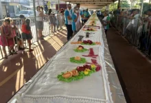 bolo-aparecida-11-05-19.webp