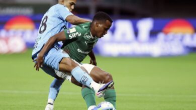 A Procuradoria do Superior Tribunal de Justiça Desportiva (STJD) denunciou Palmeiras e Santos pelos incidentes registrados no clássico do último sábado (2), válido pelo Campeonato Brasileiro, no antigo Allianz Parque.nNo caso do Alviverde, a denúncia se refere à invasão de campo por um torcedor fantasiado de Hulk, que estava todo pintado de verde. O clube foi enquadrado no artigo 213 do Código Brasileiro de Justiça Desportiva (CBJD), que trata da responsabilidade por falhas na prevenção e repressão de invasões. A punição pode incluir multa de até R$ 100 mil, além da possibilidade de perda de mando de campo, caso o tribunal considere a ocorrência de maior gravidade.nnA informação foi dada incialmente pelo "Uol" e confirmada pela CNN Brasil.nSegundo a denúncia assinada pelo procurador Tairone Messias, o episódio teve impacto direto na partida, com necessidade de atendimento médico, entrada de ambulância e paralisação do jogo, evidenciando falhas na organização e segurança por parte do clube mandante.nO clube ainda não se manifestou sobre a denúncia.nHulk foranO Palmeiras tomou duas medidas sobre o episódio. O clube identificou o torcedor responsável pela invasão de campo e registrou Boletim de Ocorrência sobre o caso. Trata-se de Hudson Luiz Soares Peixoto, que ficou ferido durante a ação.nComo medida administrativa, o clube também determinou o bloqueio do acesso de Hudson ao estádio. Ele não poderá comprar comprar ingressos por tempo indeterminado.n E o Peixe?nO Santos foi denunciado pelo atraso na chegada ao estádio, o que gerou efeito em cadeia no protocolo pré-jogo e no início da partida. O caso também será analisado pelo STJD em julgamento ainda a ser marcado.nO justificou que teve imprevistos durante o deslocamento ao estádio.nhttps://stories.cnnbrasil.com.br/esportes/el-capitan-gustavo-gomez-estreia-em-copas-com-o-paraguai/nhttps://www.youtube.com/shorts/tgtcIEKOft0