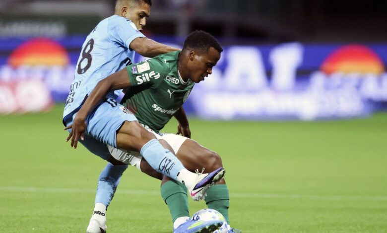 A Procuradoria do Superior Tribunal de Justiça Desportiva (STJD) denunciou Palmeiras e Santos pelos incidentes registrados no clássico do último sábado (2), válido pelo Campeonato Brasileiro, no antigo Allianz Parque.nNo caso do Alviverde, a denúncia se refere à invasão de campo por um torcedor fantasiado de Hulk, que estava todo pintado de verde. O clube foi enquadrado no artigo 213 do Código Brasileiro de Justiça Desportiva (CBJD), que trata da responsabilidade por falhas na prevenção e repressão de invasões. A punição pode incluir multa de até R$ 100 mil, além da possibilidade de perda de mando de campo, caso o tribunal considere a ocorrência de maior gravidade.nnA informação foi dada incialmente pelo "Uol" e confirmada pela CNN Brasil.nSegundo a denúncia assinada pelo procurador Tairone Messias, o episódio teve impacto direto na partida, com necessidade de atendimento médico, entrada de ambulância e paralisação do jogo, evidenciando falhas na organização e segurança por parte do clube mandante.nO clube ainda não se manifestou sobre a denúncia.nHulk foranO Palmeiras tomou duas medidas sobre o episódio. O clube identificou o torcedor responsável pela invasão de campo e registrou Boletim de Ocorrência sobre o caso. Trata-se de Hudson Luiz Soares Peixoto, que ficou ferido durante a ação.nComo medida administrativa, o clube também determinou o bloqueio do acesso de Hudson ao estádio. Ele não poderá comprar comprar ingressos por tempo indeterminado.n E o Peixe?nO Santos foi denunciado pelo atraso na chegada ao estádio, o que gerou efeito em cadeia no protocolo pré-jogo e no início da partida. O caso também será analisado pelo STJD em julgamento ainda a ser marcado.nO justificou que teve imprevistos durante o deslocamento ao estádio.nhttps://stories.cnnbrasil.com.br/esportes/el-capitan-gustavo-gomez-estreia-em-copas-com-o-paraguai/nhttps://www.youtube.com/shorts/tgtcIEKOft0